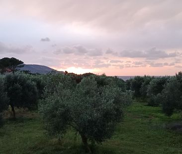 Μονοκατοικία για ενοικίαση - Γαργαλιάνοι, - Photo 6