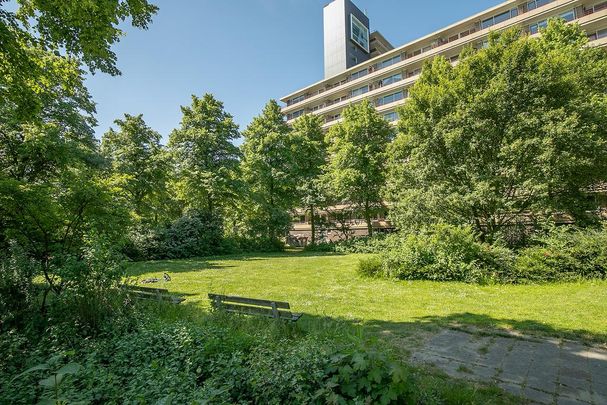 Te huur: Appartement Arthur van Schendelplein 43 in Delft - Foto 1