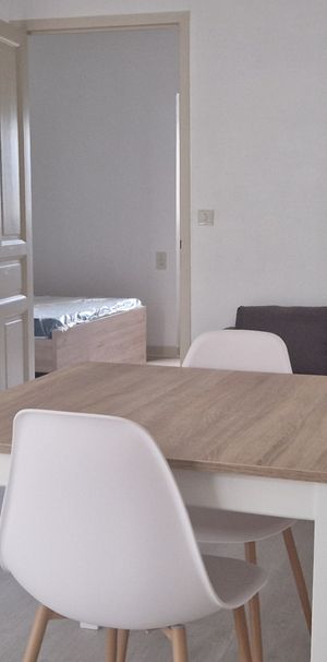 Location Appartement 2 pièces 33m² ST CHELY D APCHER 48200 - Photo 1