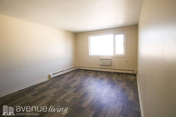 1 Bedroom - Photo 1