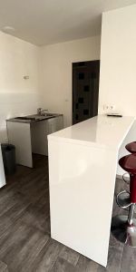 Location Appartement 1 pièce 34m² ST ETIENNE 42000 - Photo 3