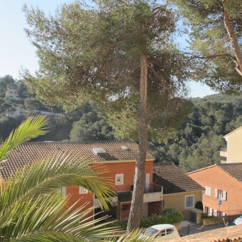 MOUGINS LE HAUT 2 pièces à louer - Photo 1