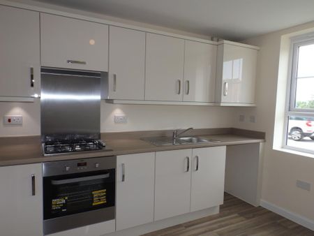 3 bedroom house to rent - Photo 5