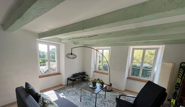 Charming room in a shared apartment near EPFL and UNIL - Photo 1