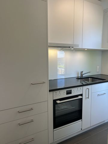 Singlewohnung nähe Stadtzentrum - frisch saniert - Photo 5
