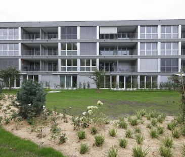 Wohnglück in Zollikofen - Photo 6