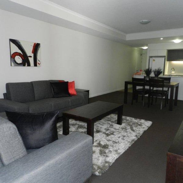 Centrally Located Furnished Apartment - Photo 1
