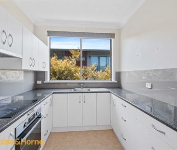 Apartment within walking distance to the city! - Photo 3