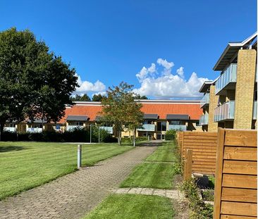 7800, Skive - Photo 2