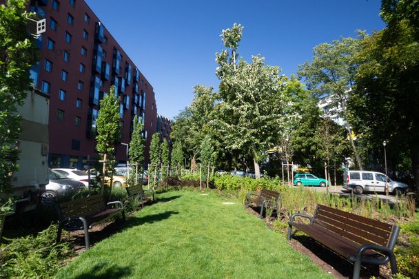 2pok I Business Garden I Pixel House | CH Magnolia - Photo 1