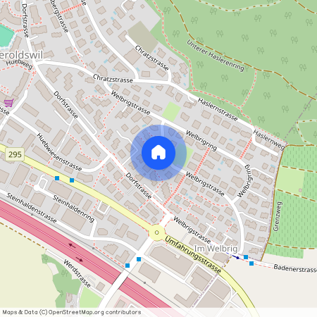 8954, Geroldswil, Welbrigstrasse, 63