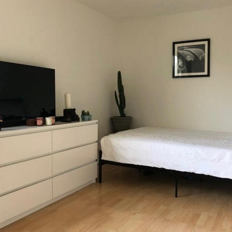 4 bedroom flat share to rent - Photo 1