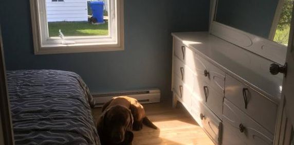 Maison bord de la mer Gaspésie qui inclus deux logements! - Photo 2