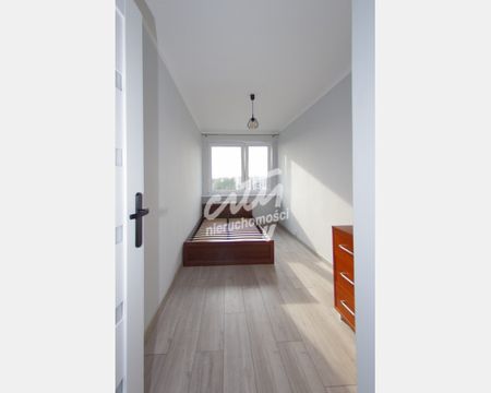 Szczecin - Zdjęcie 2