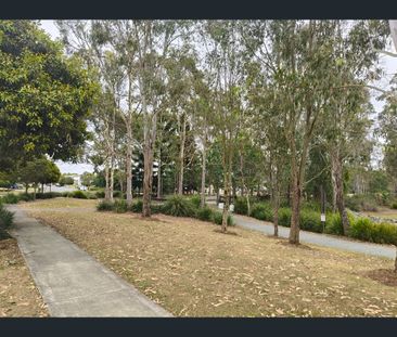 16 Riverstone Ave, Logan Reserve, Qld 4133 - Photo 5