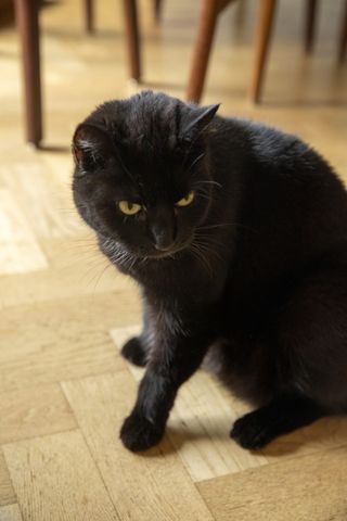 Möllevångsgatan 34 - Photo 2