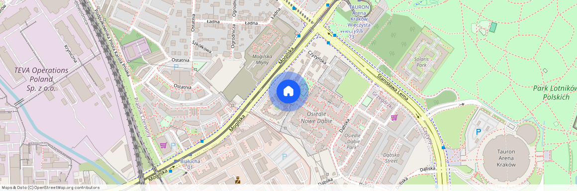 ul. Czyżyńska, Rakowice, Prądnik Czerwony, Kraków, małopolskie