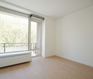 Groenendaal - Photo 4