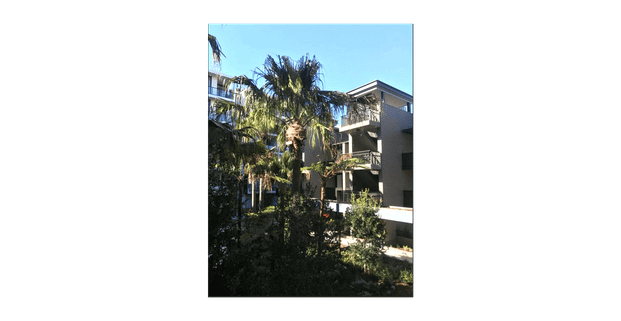 5303/6 Tung Hop Street, Waterloo, NSW 2017 - Photo 1