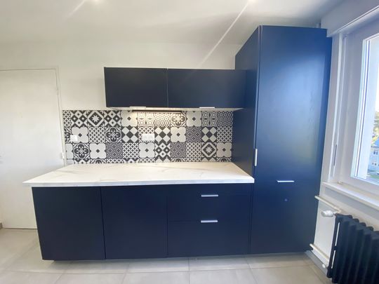 Location Appartement 3 pièces 70m² ST LOUIS 68300 - Photo 1