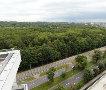 Katowice, Osiedle Tysiąclecia, Chorzowska Mieszkanie na wynajem - Photo 1