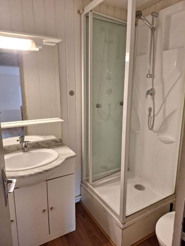 Location Appartement 1 pièce 22m² BORDEAUX 33000 - Photo 5