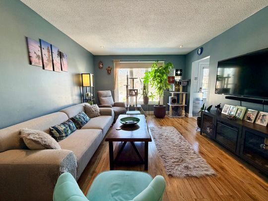 For Lease - 51 Manor Crescent, Orangeville, Ontario - Photo 1