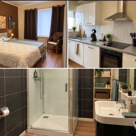 lichtrijk appartement met 2 slaapkamers in Kristus-Koning - foto 4