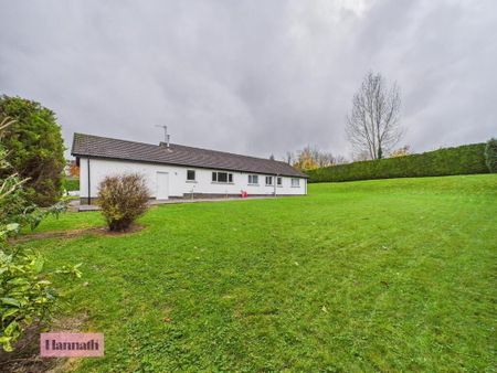 Ballyhannon Grove, Portadown, Craigavon, BT63 5SD - Photo 4