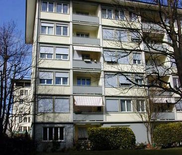 Frisch sanierte 2-Zimmerwohnung mit Balkon - Photo 6