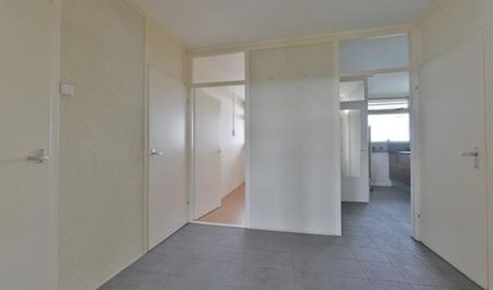 Perim 0ong, 1503 Zaandam, Nederland - Foto 5