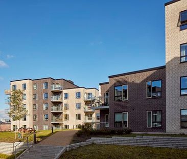 Odense, Ejlskovsgade 15 A, 1. Lejl. 1 - Foto 6