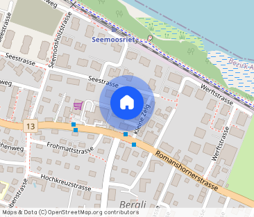 Your new home on Lake Constance - Foto 1