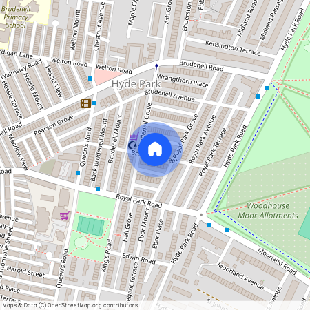 Brudenell Street, Hyde Park, Leeds