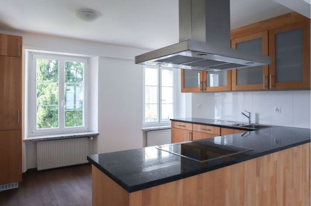 Ruhige 3.5 Zimmer-Wohnung direkt am Rhein - Foto 1