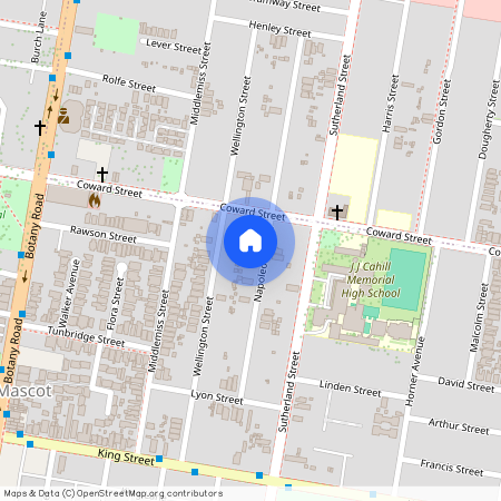 38 Napoleon Street, Mascot NSW 2020