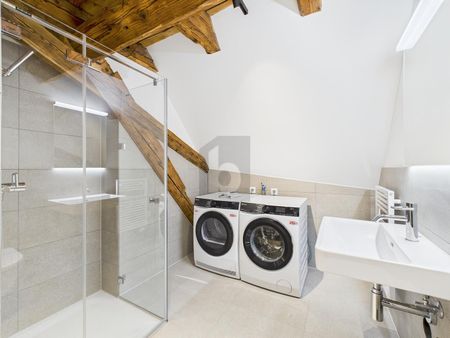 MODERN STANDARD, HISTORIC, BEST LOCATION - Photo 5