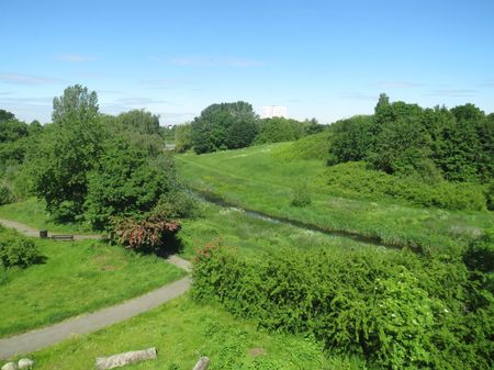 Lamprey Court - Photo 3