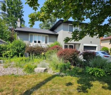 LOWER - 172 ANNE STREET N | LOWER - 172 ANNE STREET N, Barrie - Photo 1