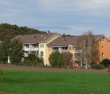 Sanierte Wohnung in Köniz an Top-Lage - Photo 5