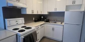 PET FRIENDLY 1B SUITE IN KITSILANO - Photo 2