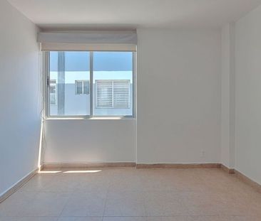 Depto en renta sobre MIRAMONTES, remodelado y muy iluminado - Photo 6