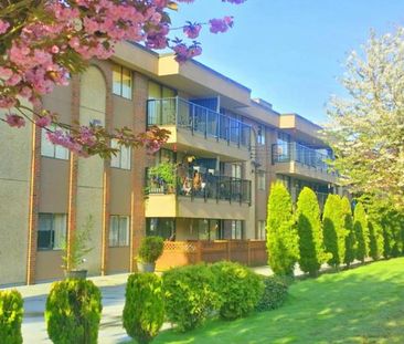 Bakerview Apartments | 1040 Howie Street, Coquitlam - Photo 1