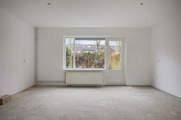 Zebraspoor 716 - Photo 1