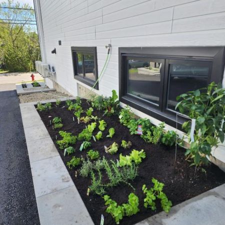 5 et demi Centre-Ville Sainte-Adèle - Photo 3