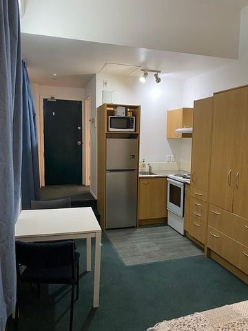Studio apartment, Central Queen St, Auckland CBD - Photo 4