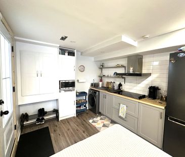 For Lease - 32 Amberview Drive Unit# Basement, Georgina, Ontario - Photo 4