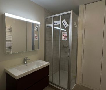 Bel appartement lumineux, rénové en 2025, balcon, cuisine ouverte - Foto 6