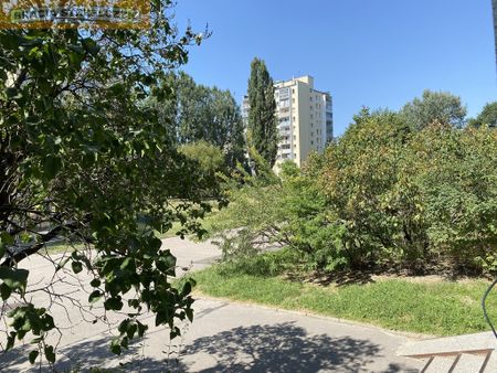 wynajmę kawalerkę 26m2 na parterze przy metrze Wawrzyszew ul. Reymonta 23 na Bielanach - Zdjęcie 4