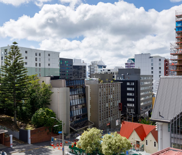 4B MacDonald Crescent, Te Aro - Photo 6